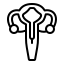 2. Preparación endometrial