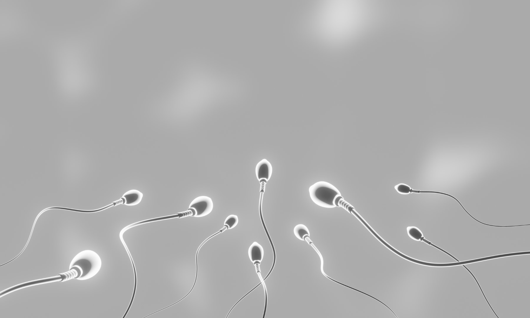 Ilustración de espermatozoides