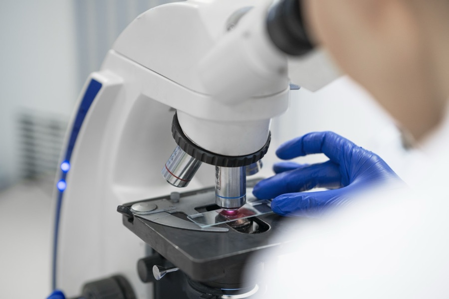 Preparación de una muestra en el microscopio